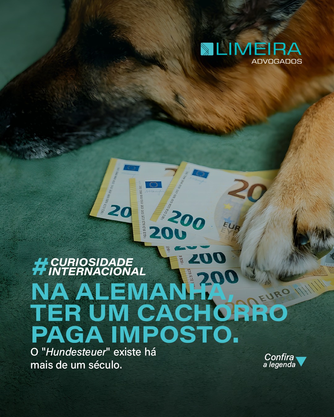 Miniatura da publicação